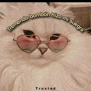 Meet your Posher, Esther